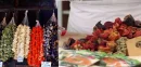 How to Store Dried Foods?