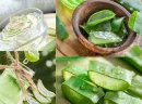 Aloe Vera: Doğanın Mucizesi