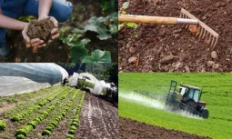 Toprağın Verimini Etkileyen Faktörler