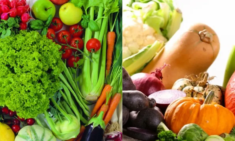 winter vegetables-2-piece-1